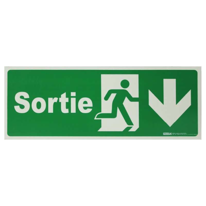 Plaque Porte de Sortie - GPSMI Plaque Porte de Sortie - GPSMI – Image 1